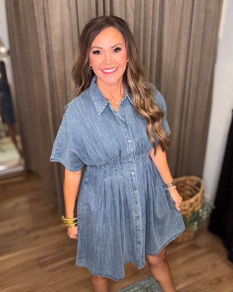 Lainey Denim Dress