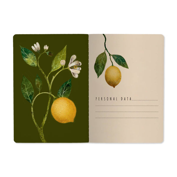 Notebook - Lemons