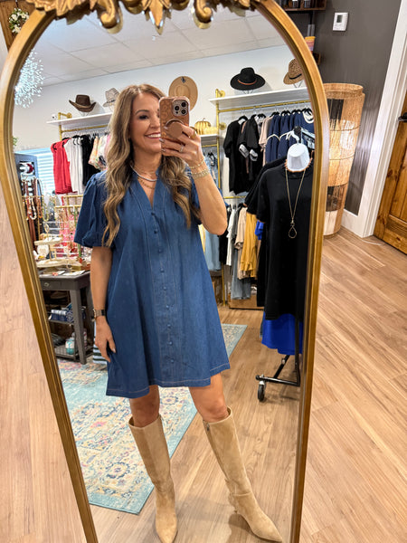 Channing Denim Dress